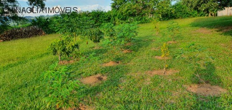 Sítio, 4 hectares - Foto 16