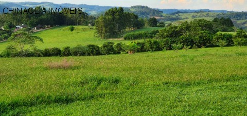Sítio, 4 hectares - Foto 39