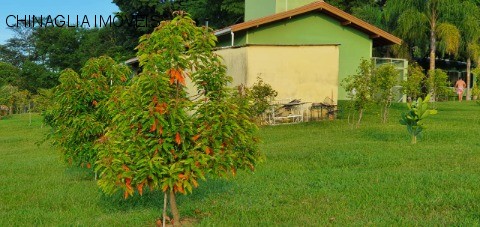 Sítio, 4 hectares - Foto 45