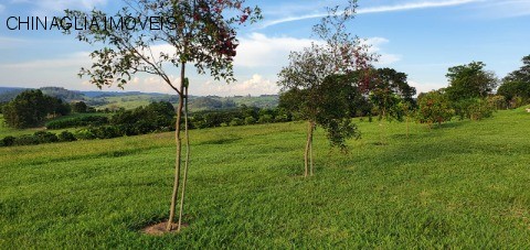 Sítio, 4 hectares - Foto 35