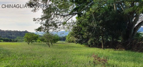 Sítio, 4 hectares - Foto 18