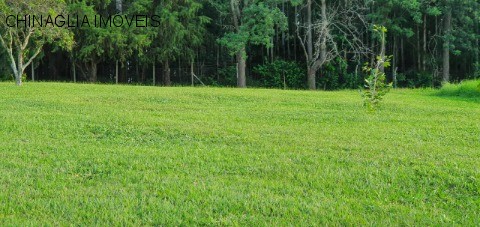 Sítio, 4 hectares - Foto 43