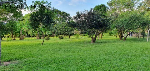 Sítio, 4 hectares - Foto 10