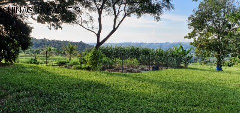 Sítio, 4 hectares - Foto 14