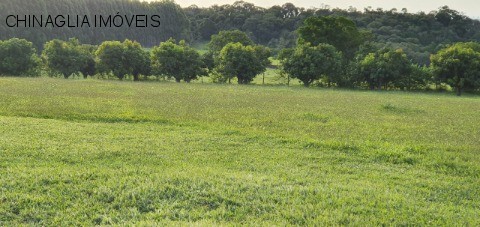 Sítio, 4 hectares - Foto 41