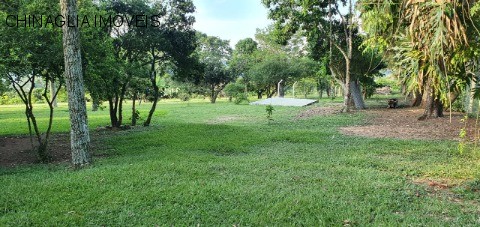 Sítio, 4 hectares - Foto 9