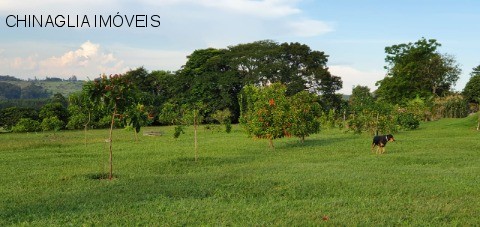 Sítio, 4 hectares - Foto 33