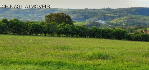 Sítio, 4 hectares - Foto 44