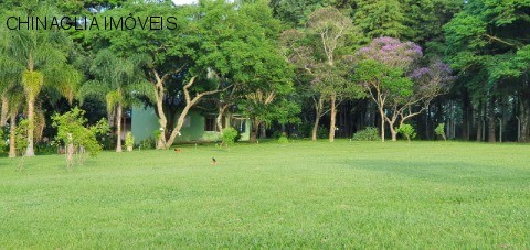 Sítio, 4 hectares - Foto 34