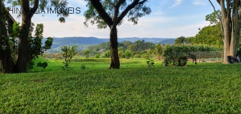 Sítio, 4 hectares - Foto 11
