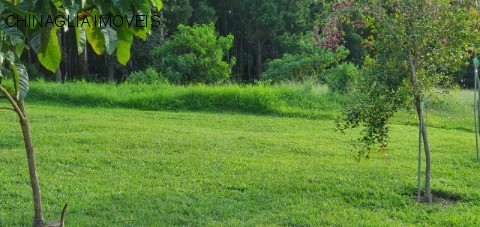 Sítio, 4 hectares - Foto 42