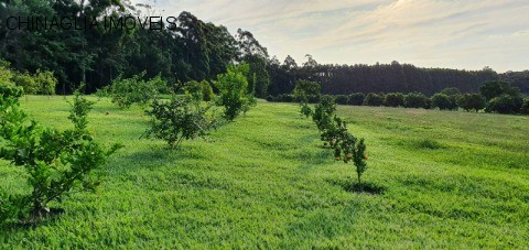 Sítio, 4 hectares - Foto 25