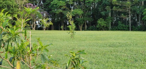 Sítio, 4 hectares - Foto 46