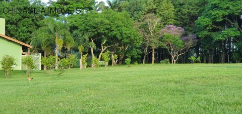 Sítio, 4 hectares - Foto 32