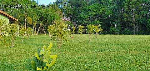 Sítio, 4 hectares - Foto 30