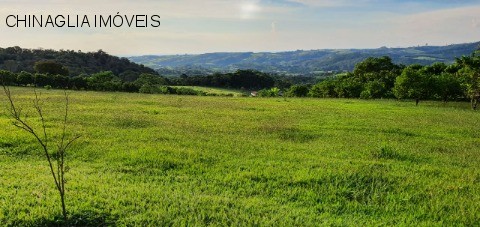 Sítio, 4 hectares - Foto 17