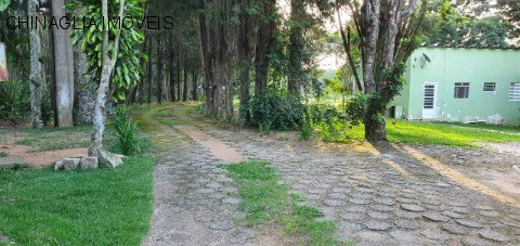 Sítio, 4 hectares - Foto 6
