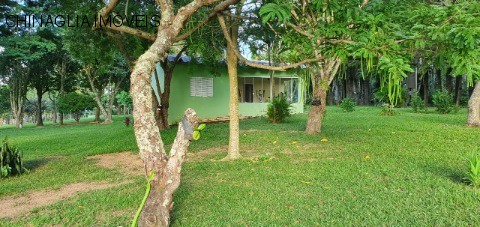 Sítio, 4 hectares - Foto 8