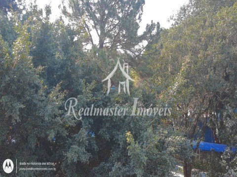 Casa à venda e aluguel com 4 quartos, 160m² - Foto 21