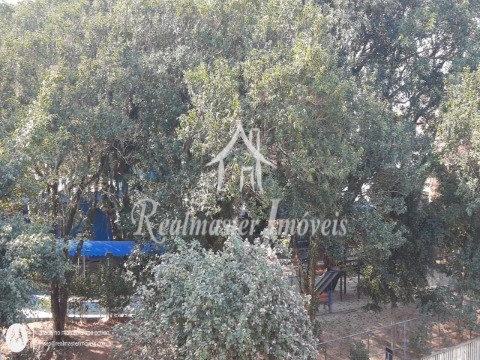 Casa à venda e aluguel com 4 quartos, 160m² - Foto 20