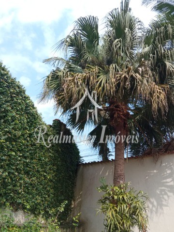 Chácara, 3 quartos, 1895 m² - Foto 16