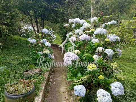 Chácara, 3 quartos, 1895 m² - Foto 28