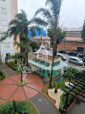 Apartamento, 3 quartos, 73 m² - Foto 4