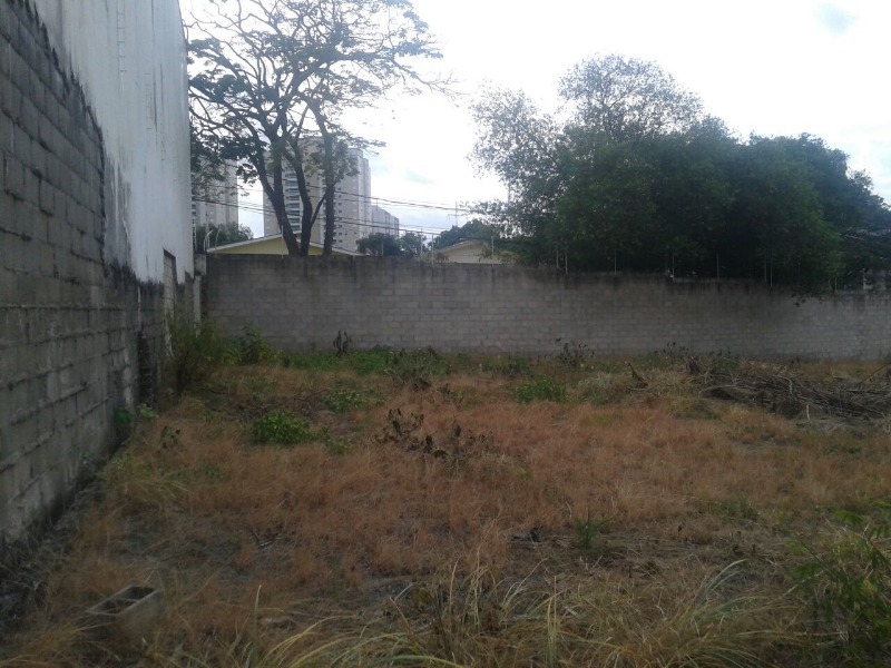 Terreno à venda e aluguel, 1300m² - Foto 22