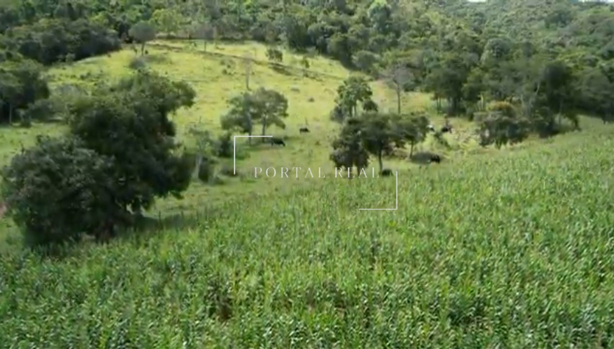 Sítio, 3 quartos, 24 hectares - Foto 3