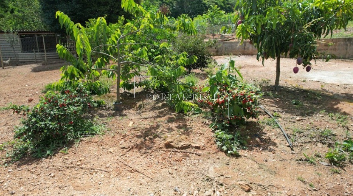 Sítio, 3 quartos, 24 hectares - Foto 24