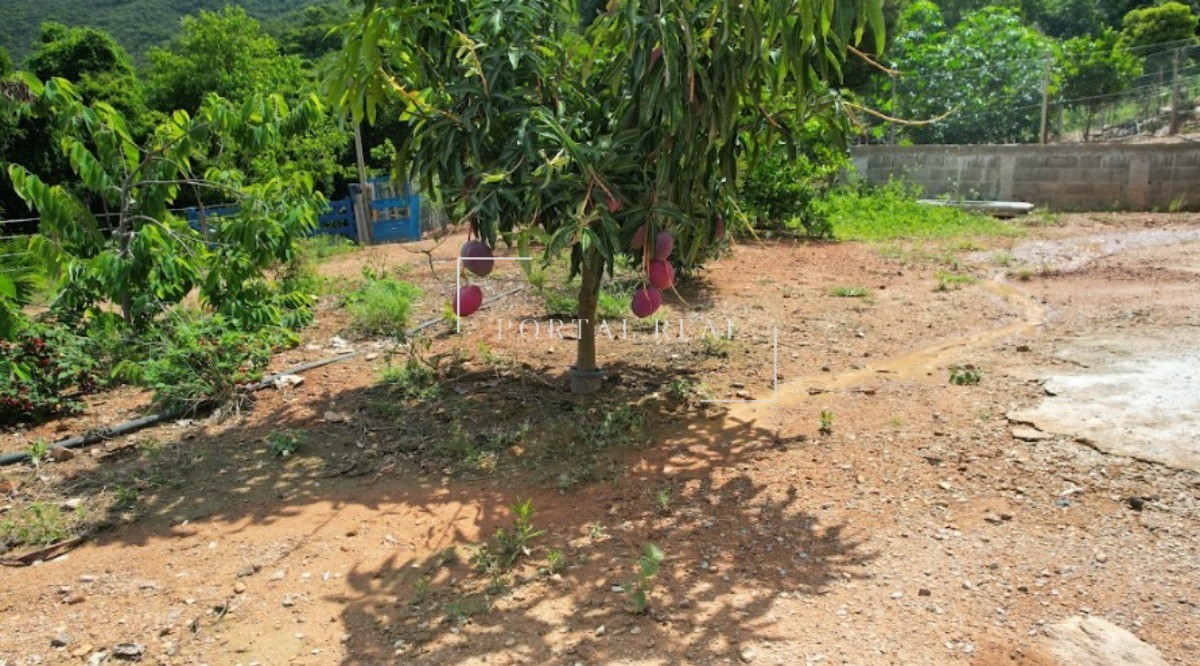 Sítio, 3 quartos, 24 hectares - Foto 21