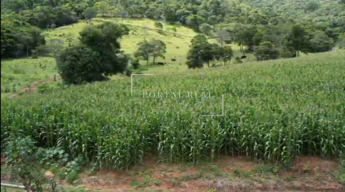 Sítio, 3 quartos, 24 hectares - Foto 8