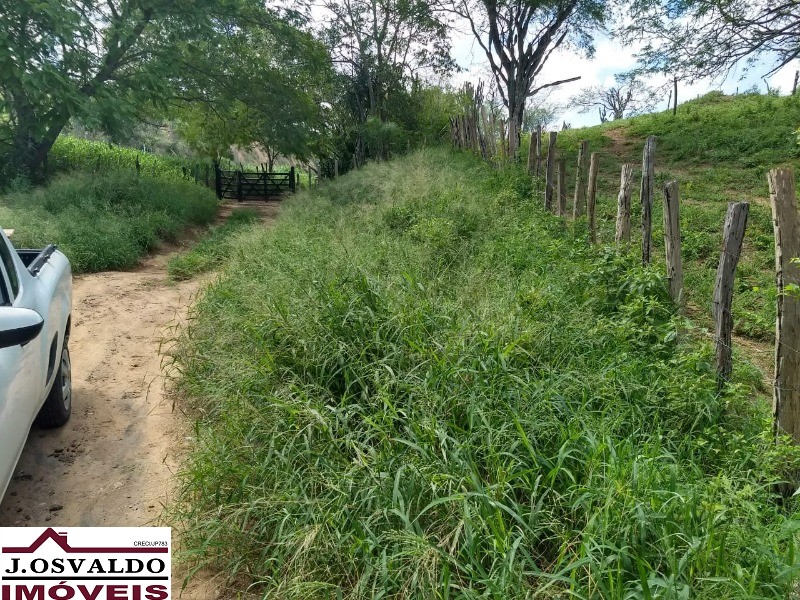 Terreno - Zona rural