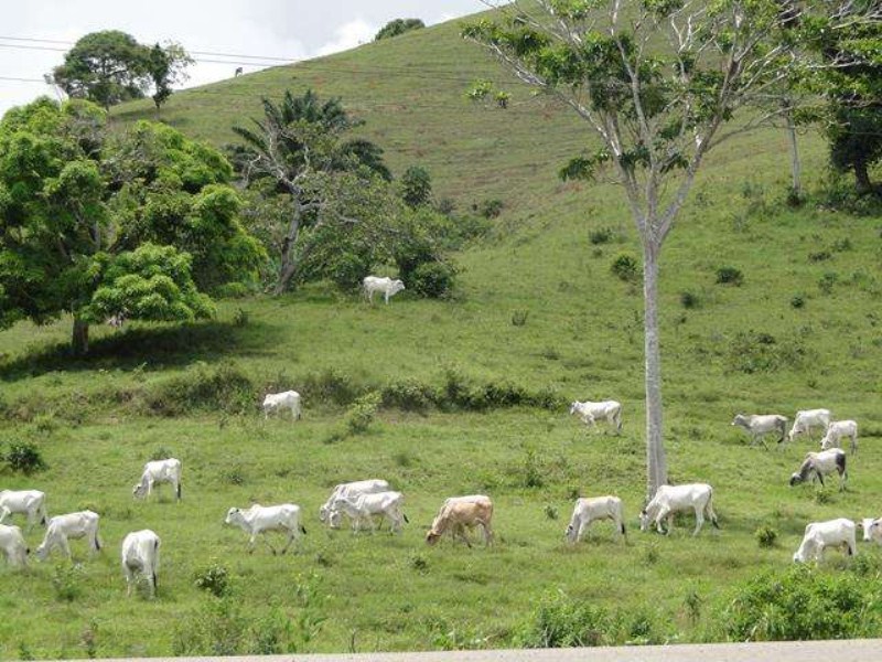 Terreno - · outras localidades