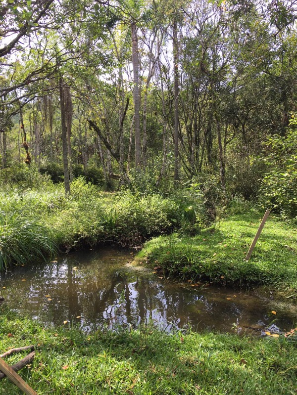 Chácara à venda, 51000m² - Foto 15