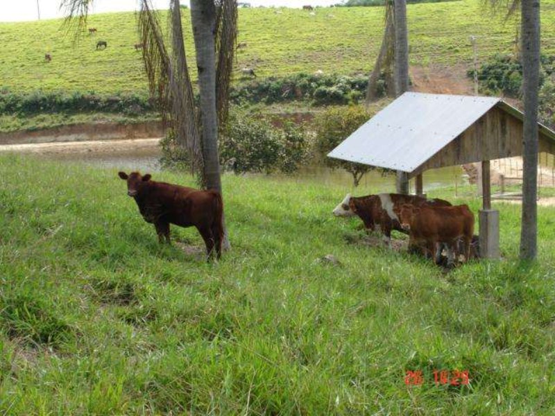 Fazenda à venda, 166m² - Foto 2