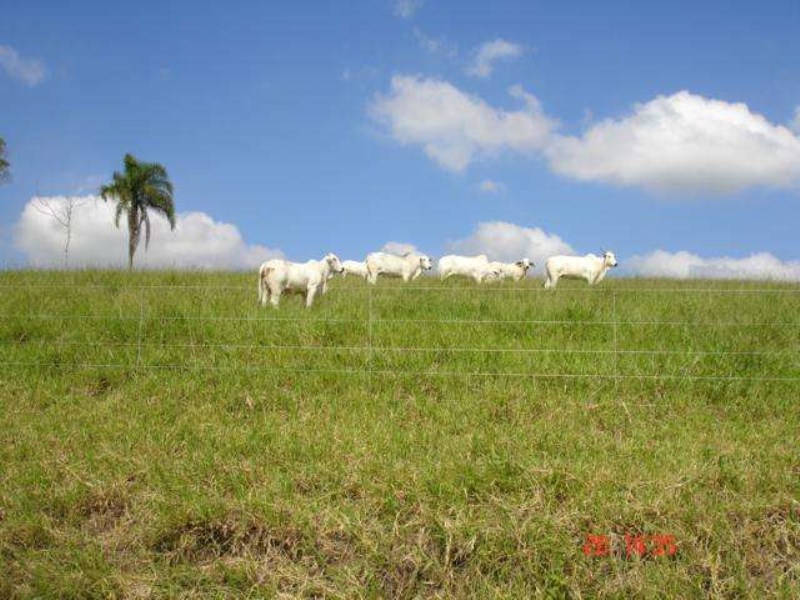 Fazenda à venda, 166m² - Foto 16