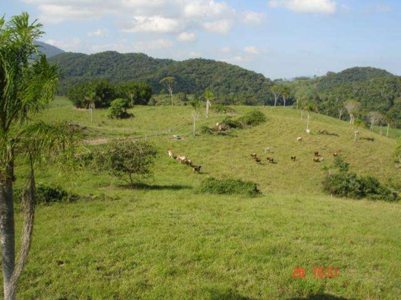 Fazenda à venda, 166m² - Foto 5