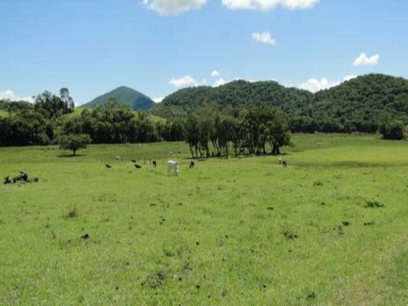 Fazenda à venda, 166m² - Foto 18