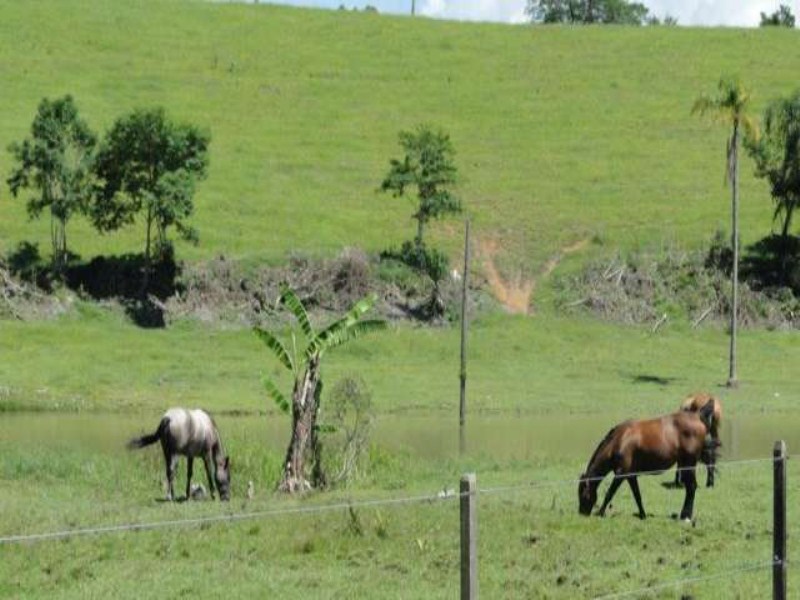 Fazenda à venda, 166m² - Foto 25