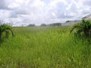 Terreno à venda, 540m² - Foto 7