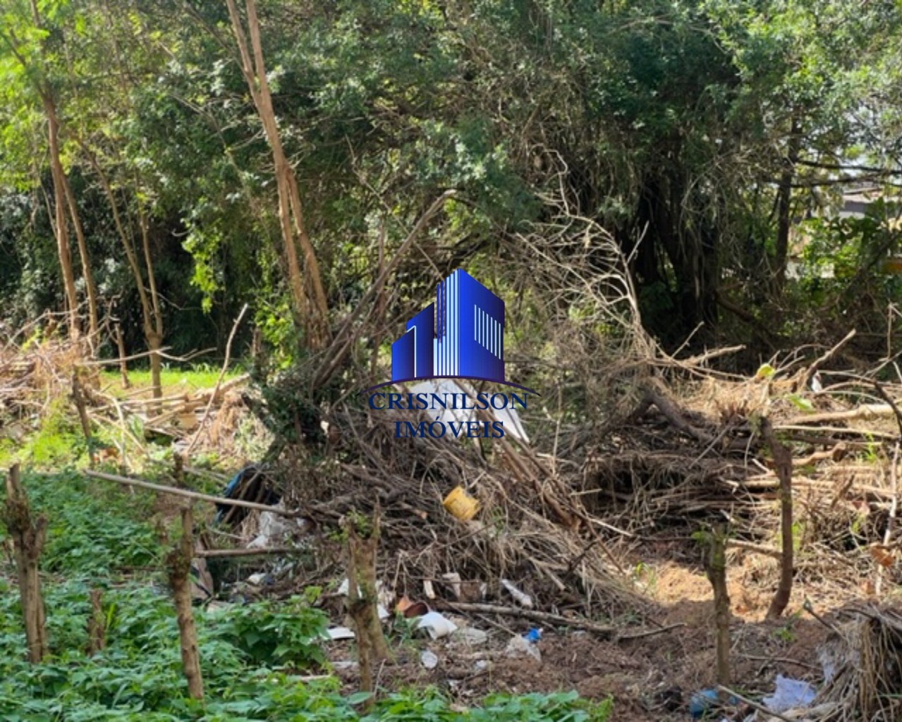 Loteamento e Condomínio à venda, 2900m² - Foto 16