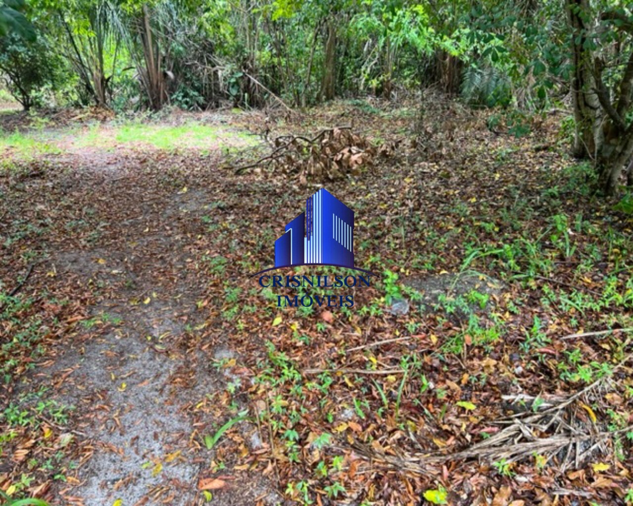 Loteamento e Condomínio à venda com 1 quarto, 1000m² - Foto 35