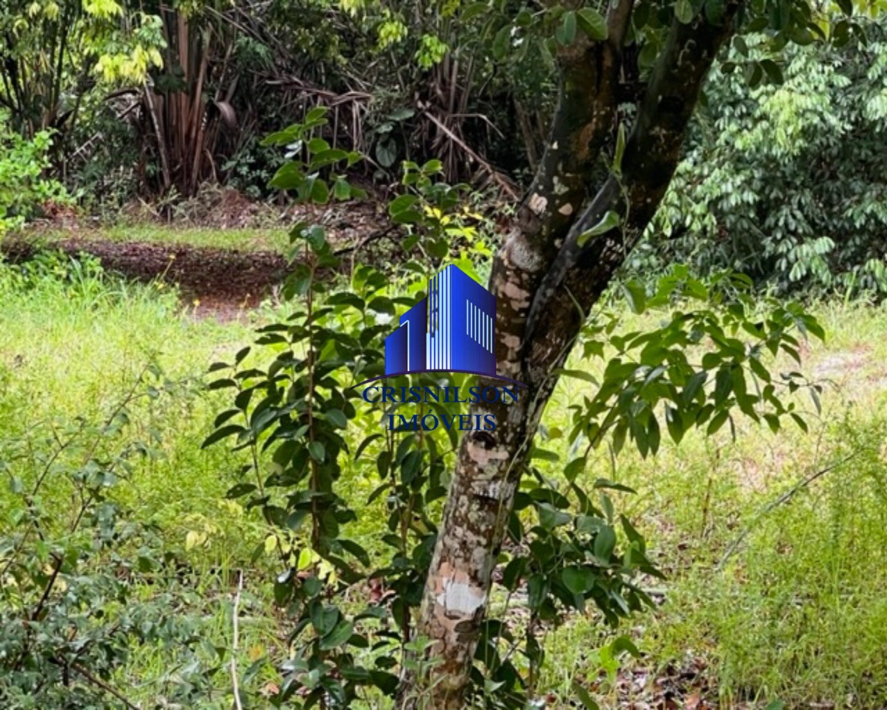 Loteamento e Condomínio à venda com 1 quarto, 1000m² - Foto 14