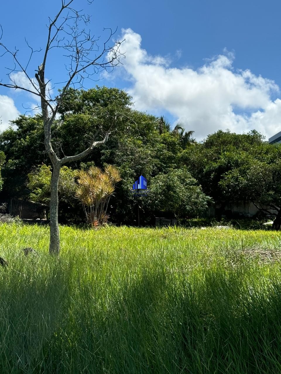 Loteamento e Condomínio à venda com 1 quarto, 1050m² - Foto 4