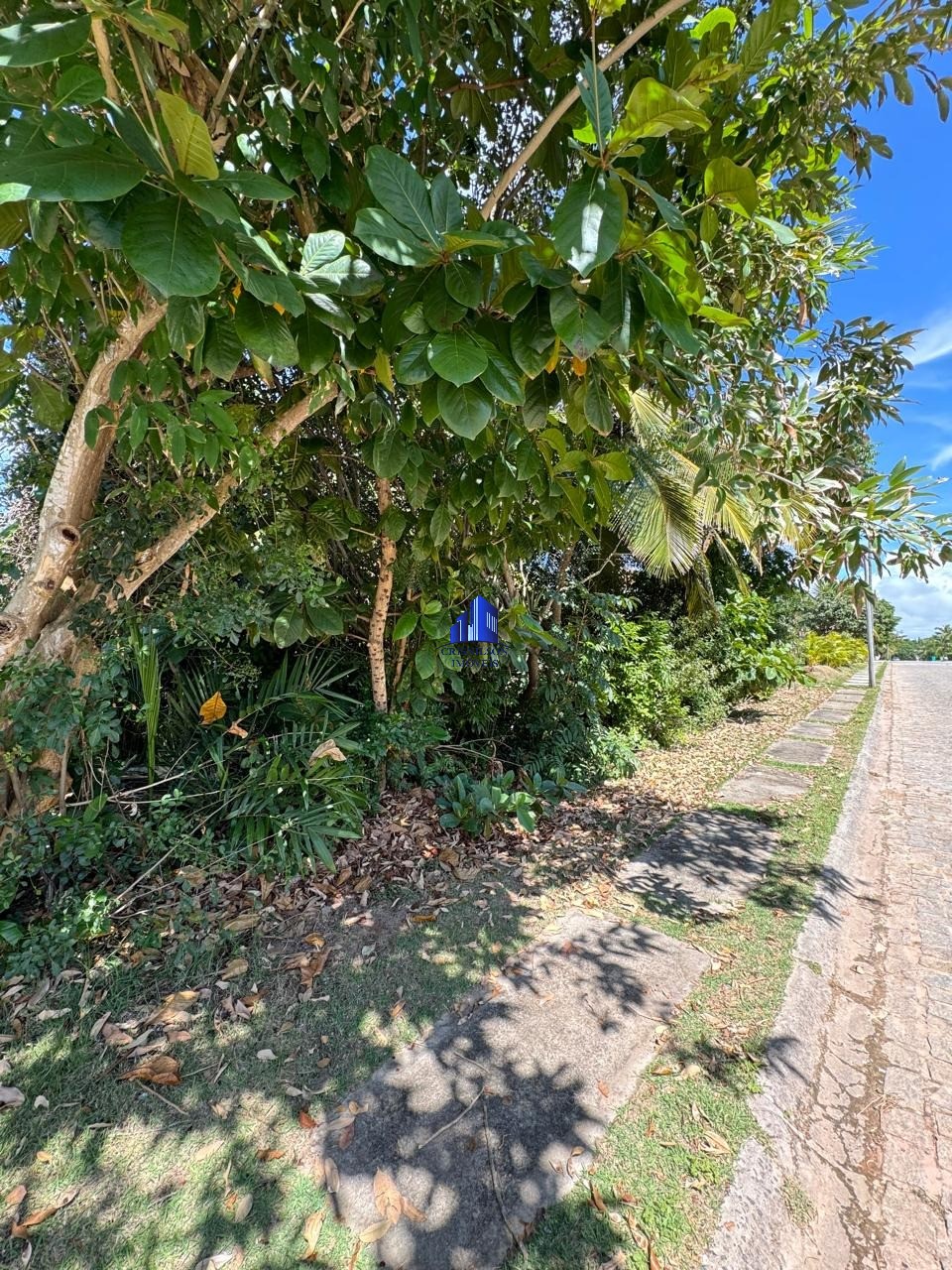 Loteamento e Condomínio à venda com 1 quarto, 1050m² - Foto 7