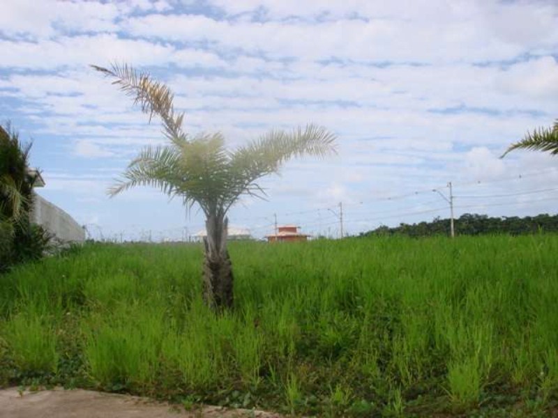 Terreno à venda, 500m² - Foto 24