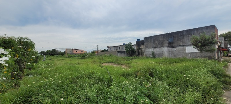 Terreno, 300 m² - Foto 4