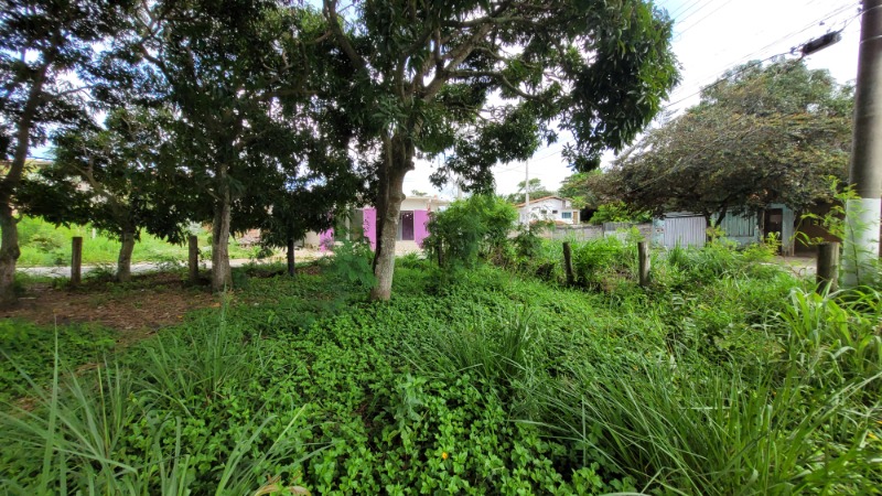 Terreno, 475 m² - Foto 13