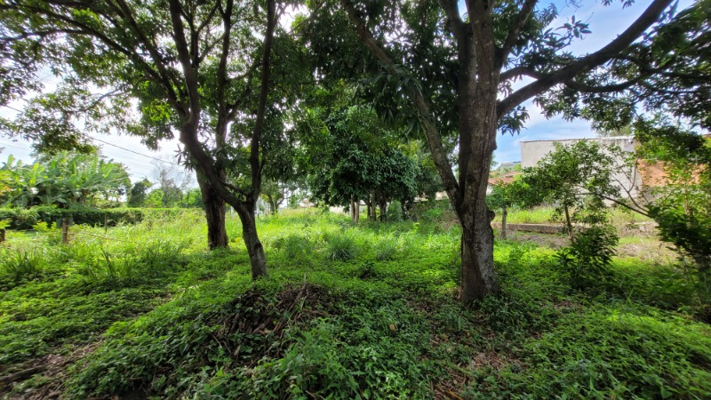 Terreno, 475 m² - Foto 4